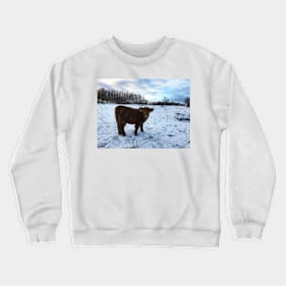 Scottish Highland Cattle Calf 1606 Crewneck Sweatshirt